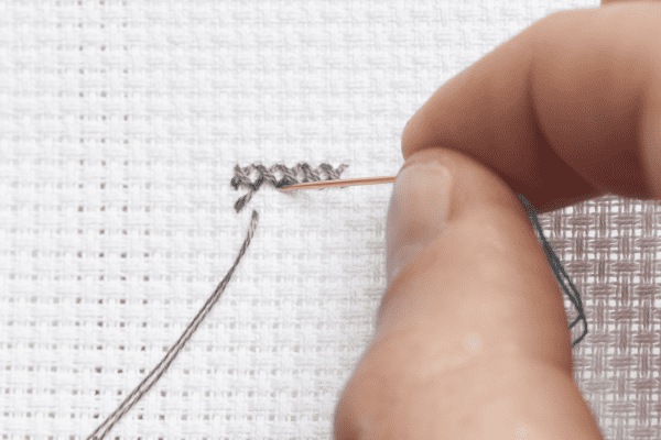 Here you can see a row of cross stitches, with the bottom stitch in a forward slash direction.