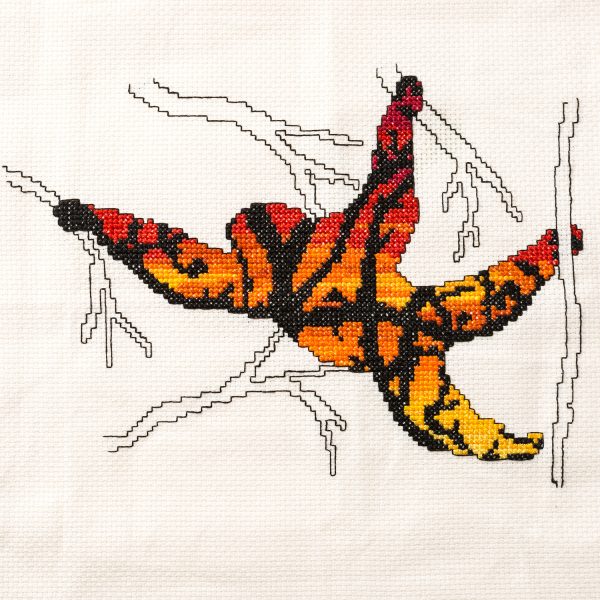 Climbing Goat Designs - King of the Swingers