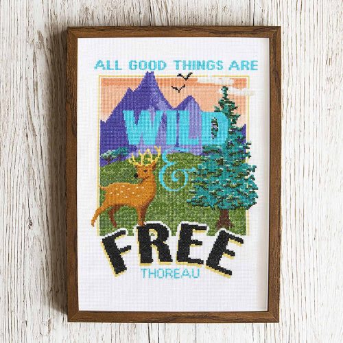FiddlesticksAU - Wild & Free