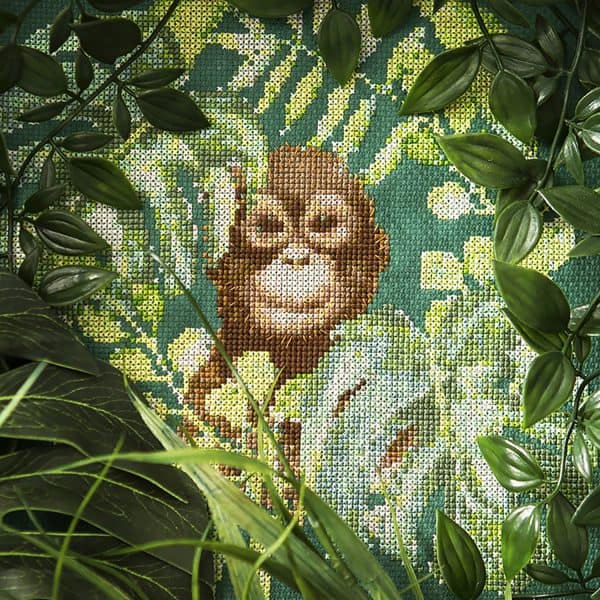 Peacock and Fig - Orangutan Dreams