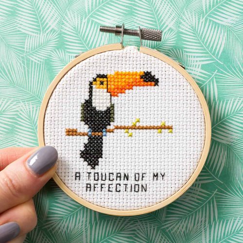 Ringcat - Toucan of Affection