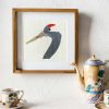 The Hawthorn Tree - Crane