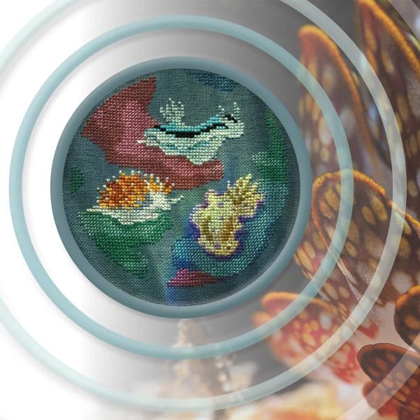 Mathysphere - Nudibranch Nexus from Issue 16: Cute!