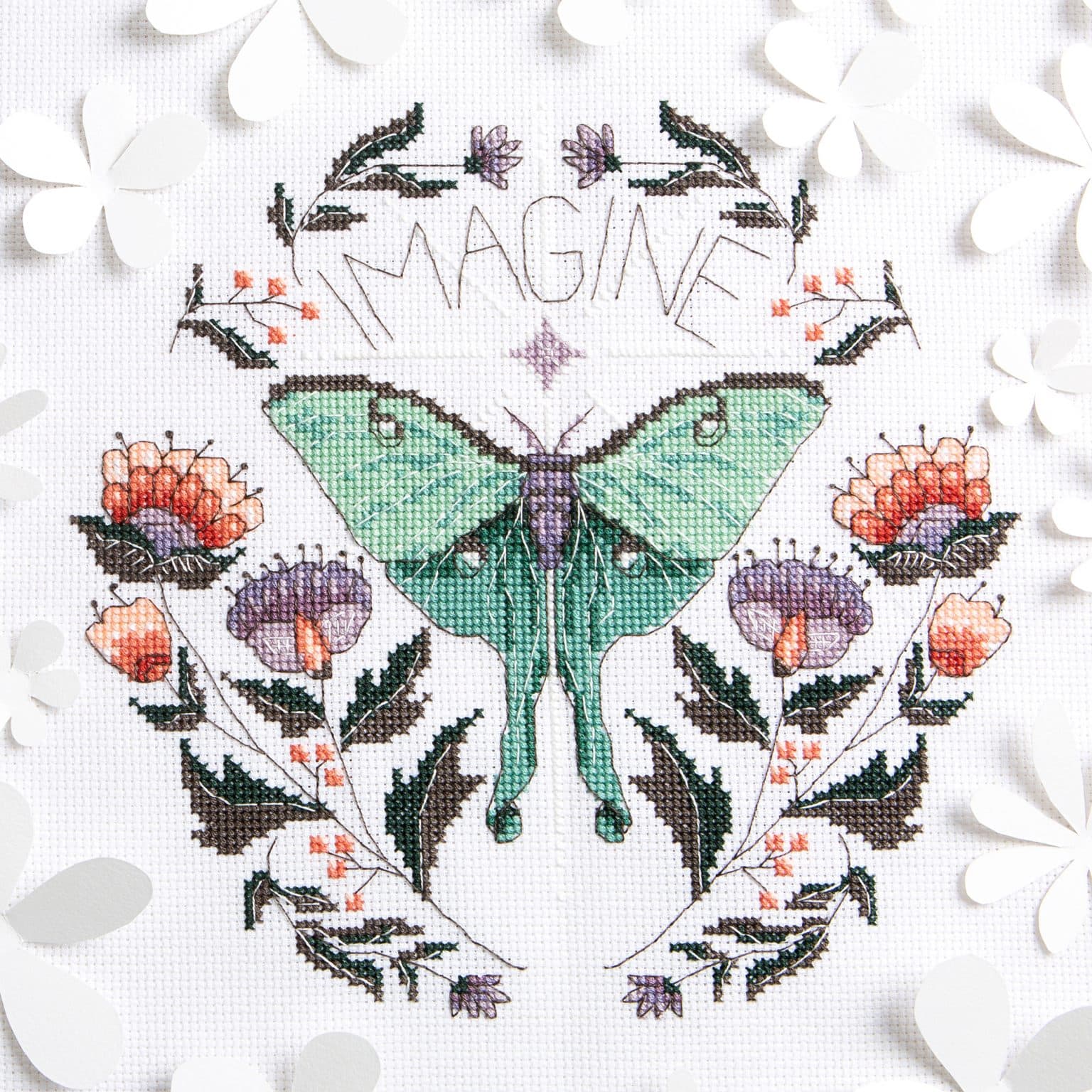 Peacock & Fig - Imagine