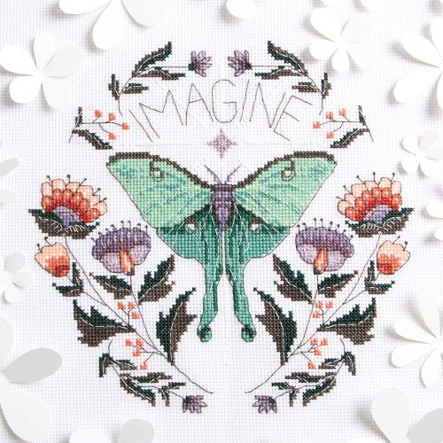 Peacock & Fig - Imagine