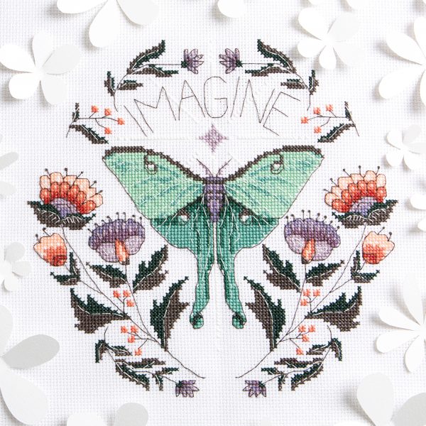 Peacock & Fig - Imagine