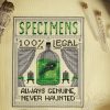 Fine Frog Stitching - Black Market Specimens
