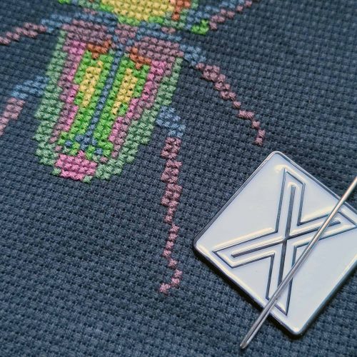 Needleminder 002 in situ