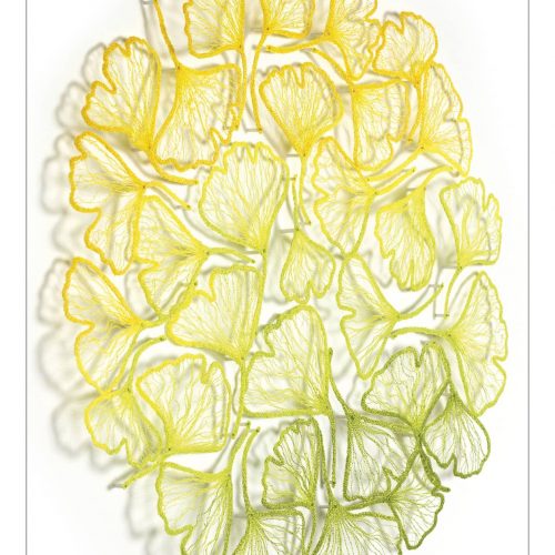 Meredith Woolnough